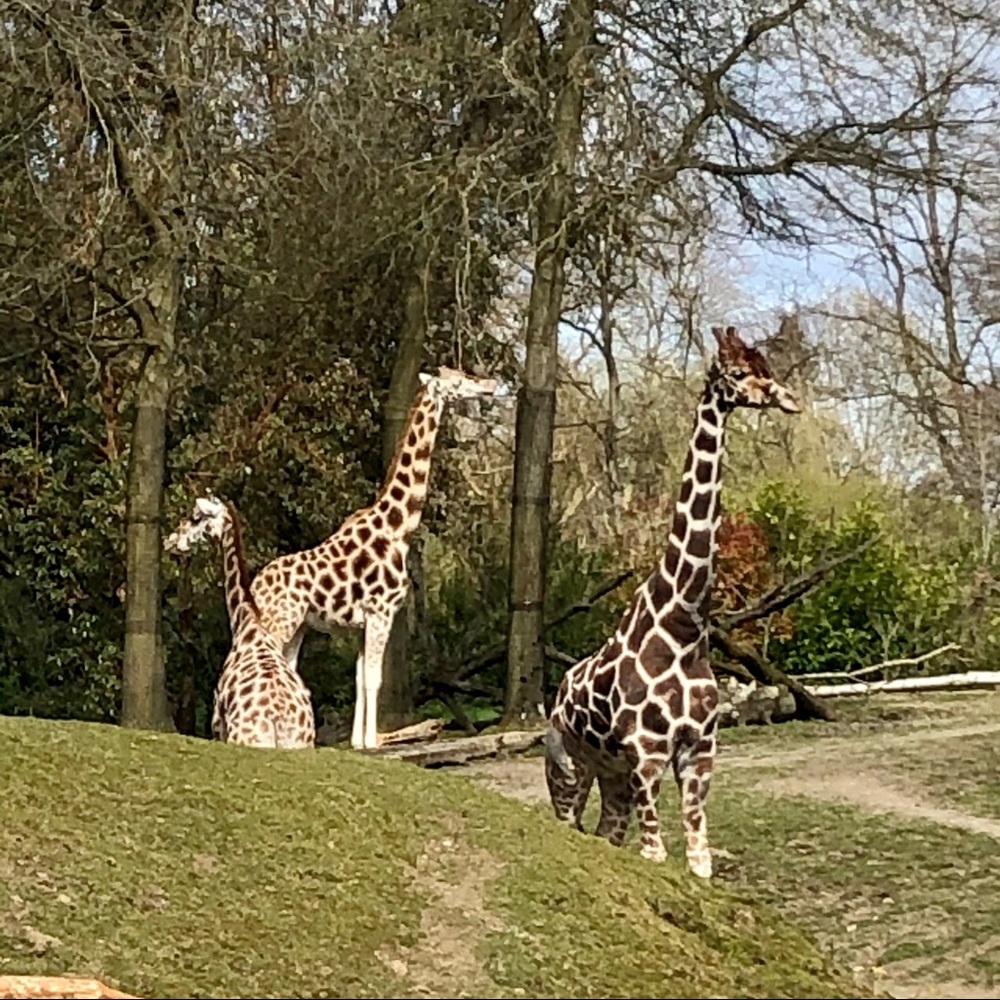 Meet your Posher, Ethan